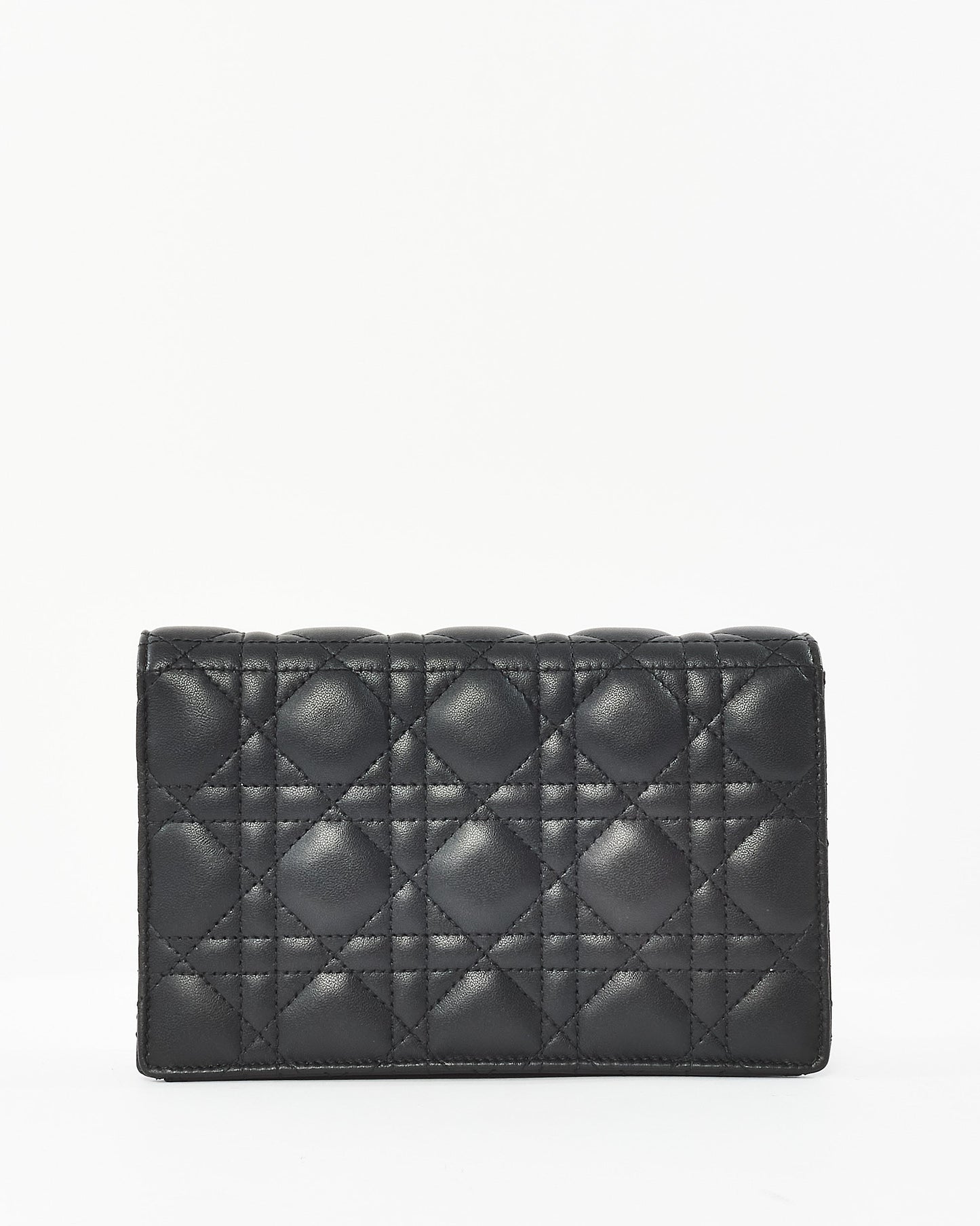 Dior Chain Leather Crossbody