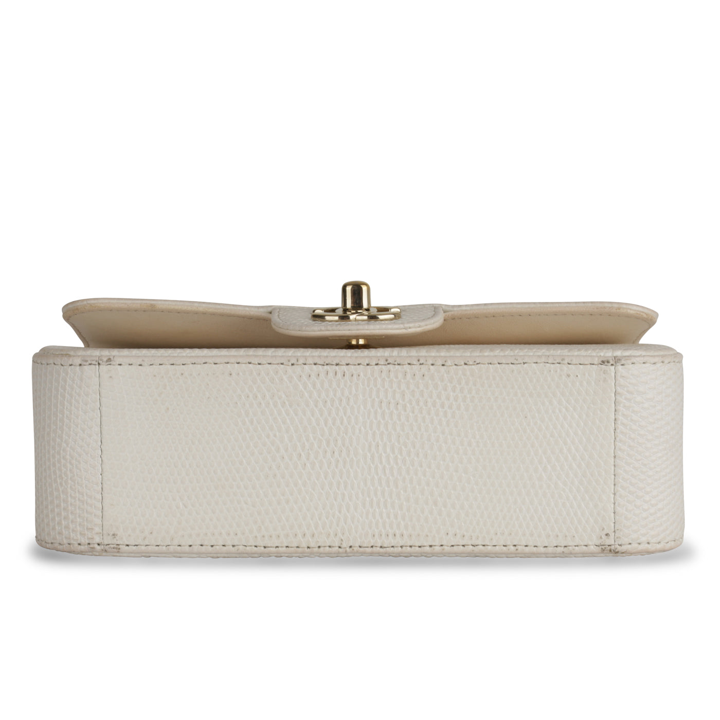 Chanel Lizard Flap Bag