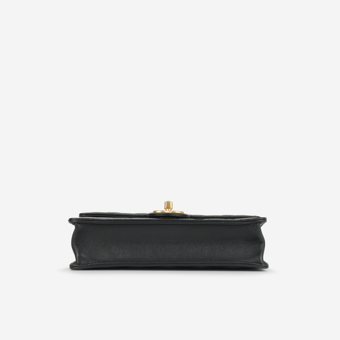 Chanel Medium Chic Pearl Flap