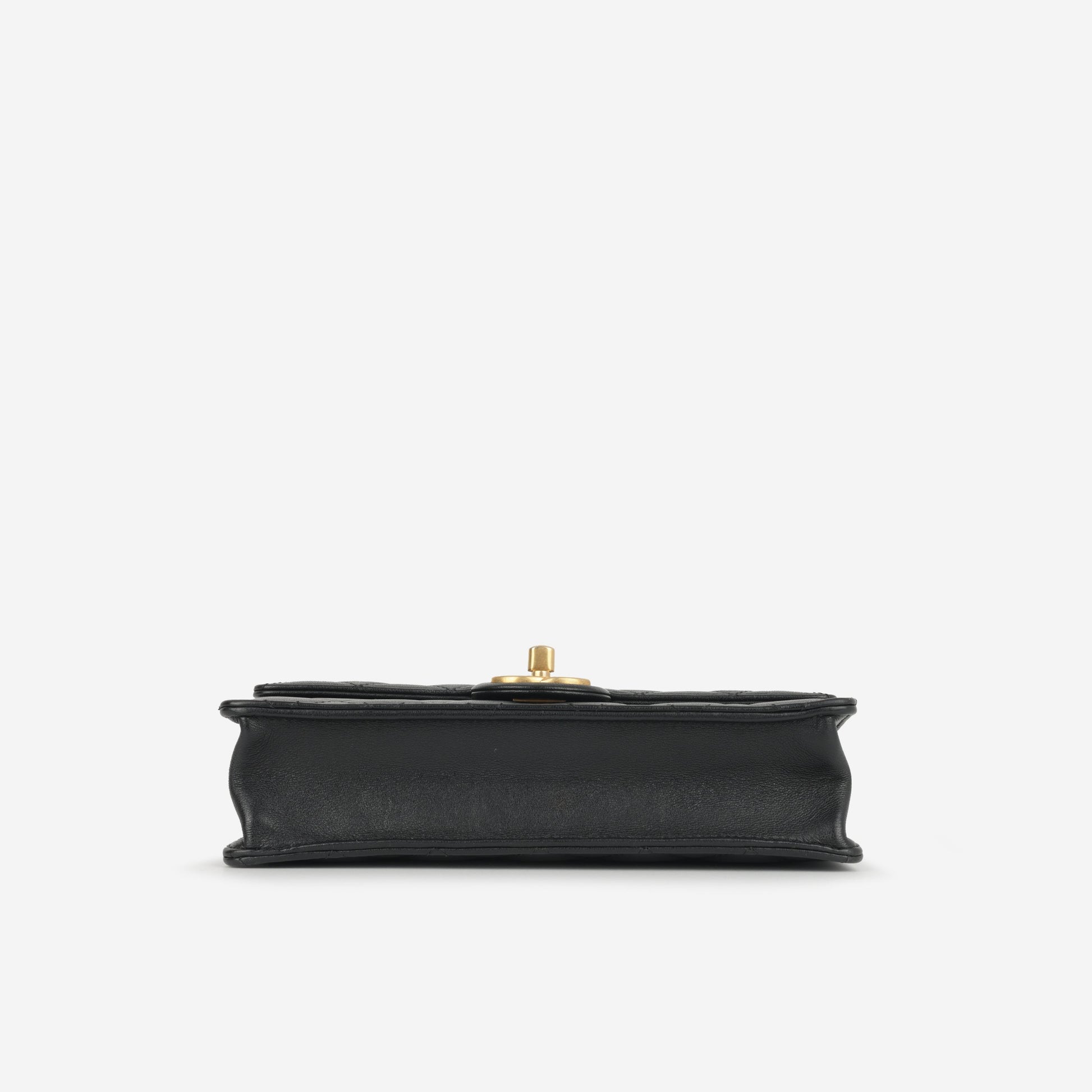 Chanel Medium Chic Pearl Flap