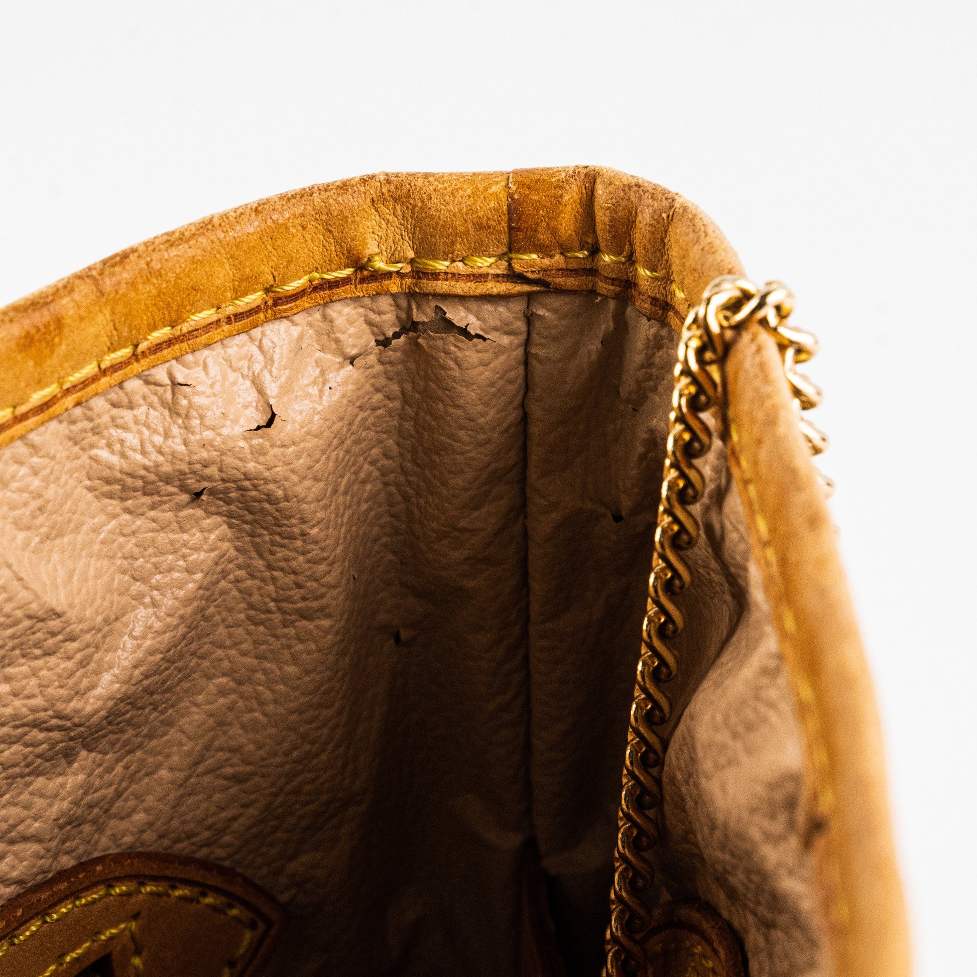 Louis Vuitton Monogram Bucket Bag