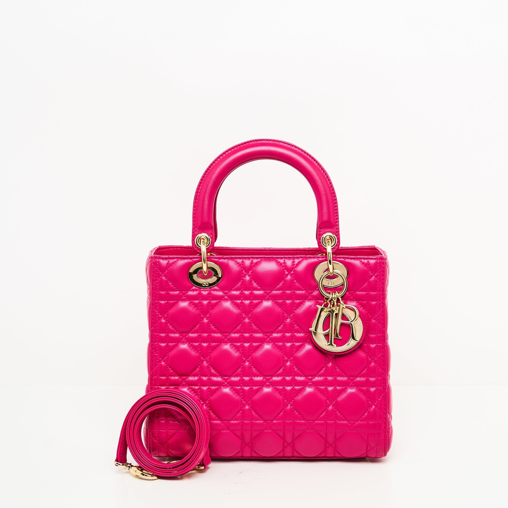 Dior Lou Lady Dior Leather Handbag