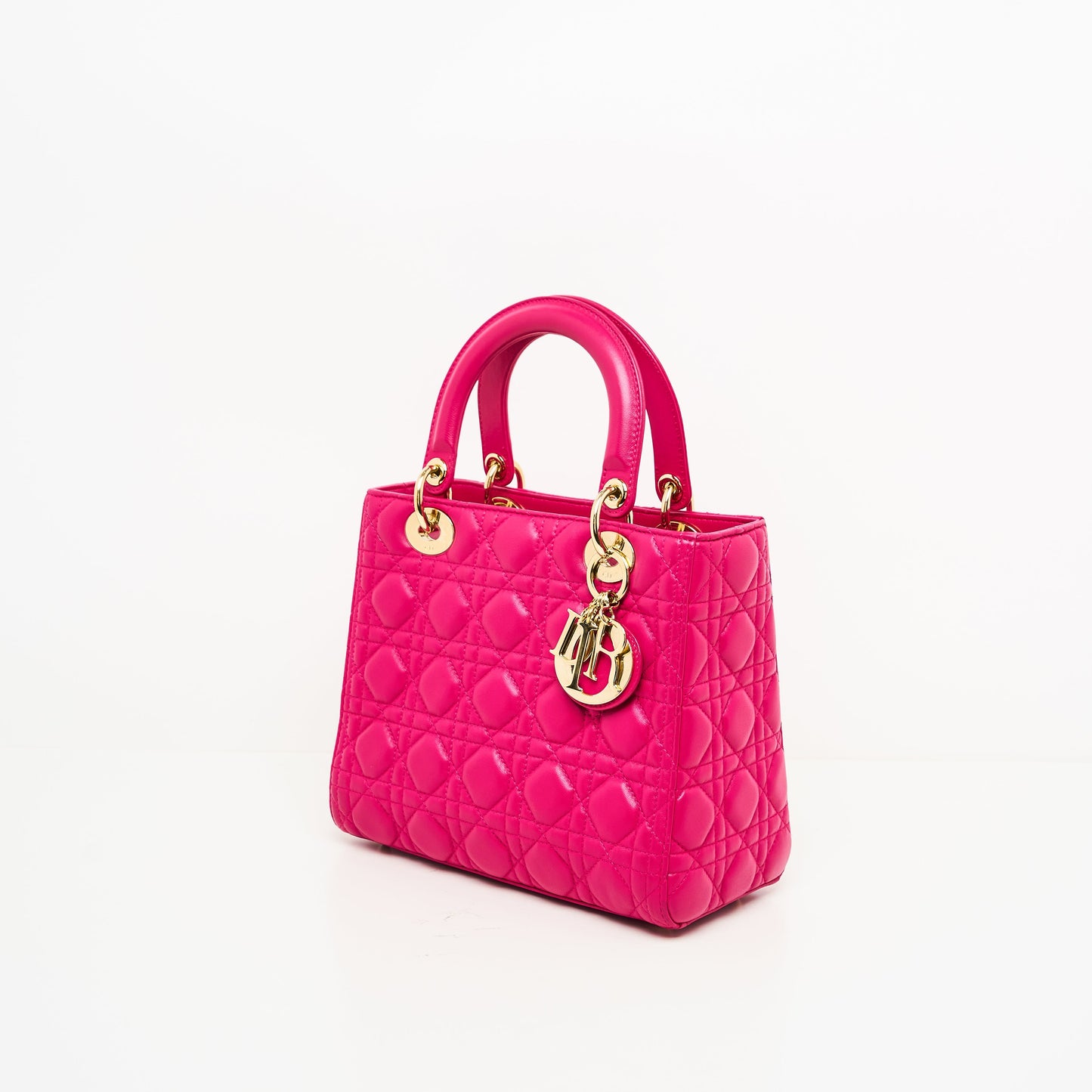 Dior Lou Lady Dior Leather Handbag