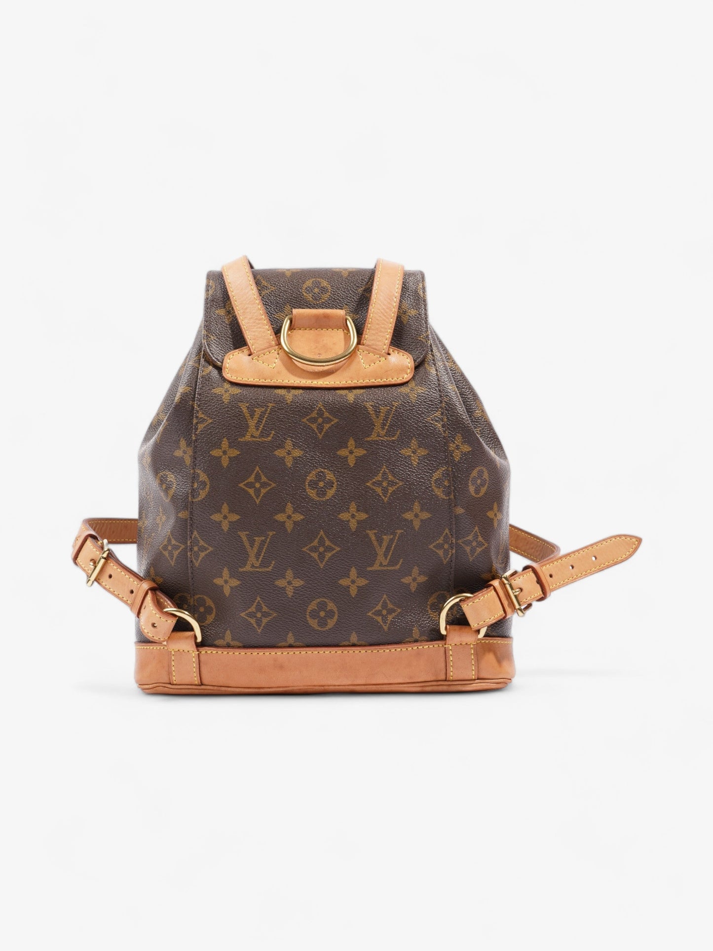 Louis Vuitton Montsouris Monogram Coated Canvas MM