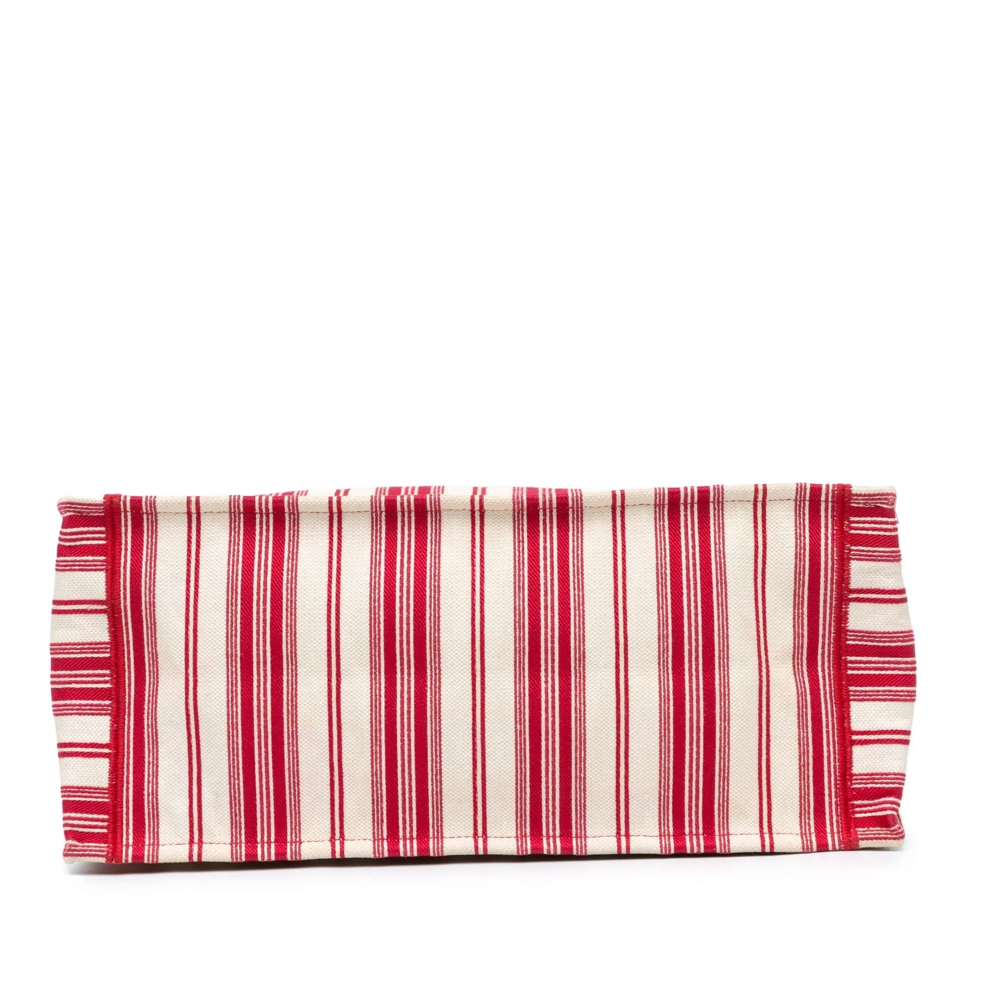 Red Dior Large Striped Book Tote