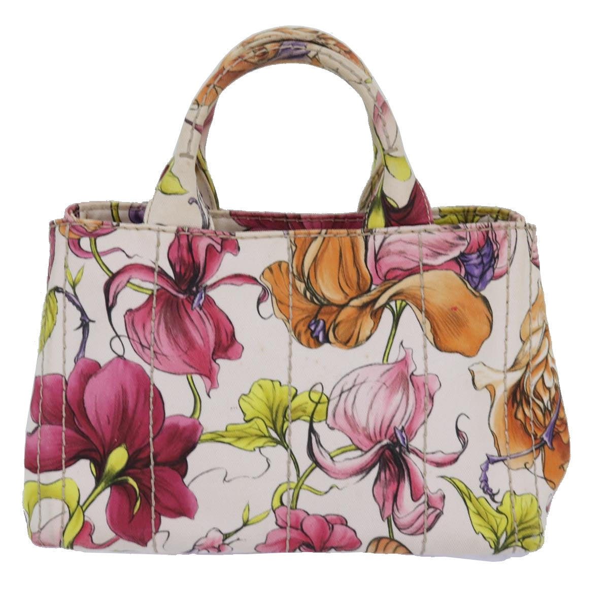 PRADA Flower Pattern Canapa PM Hand Bag Canvas 2way Multicolor Auth