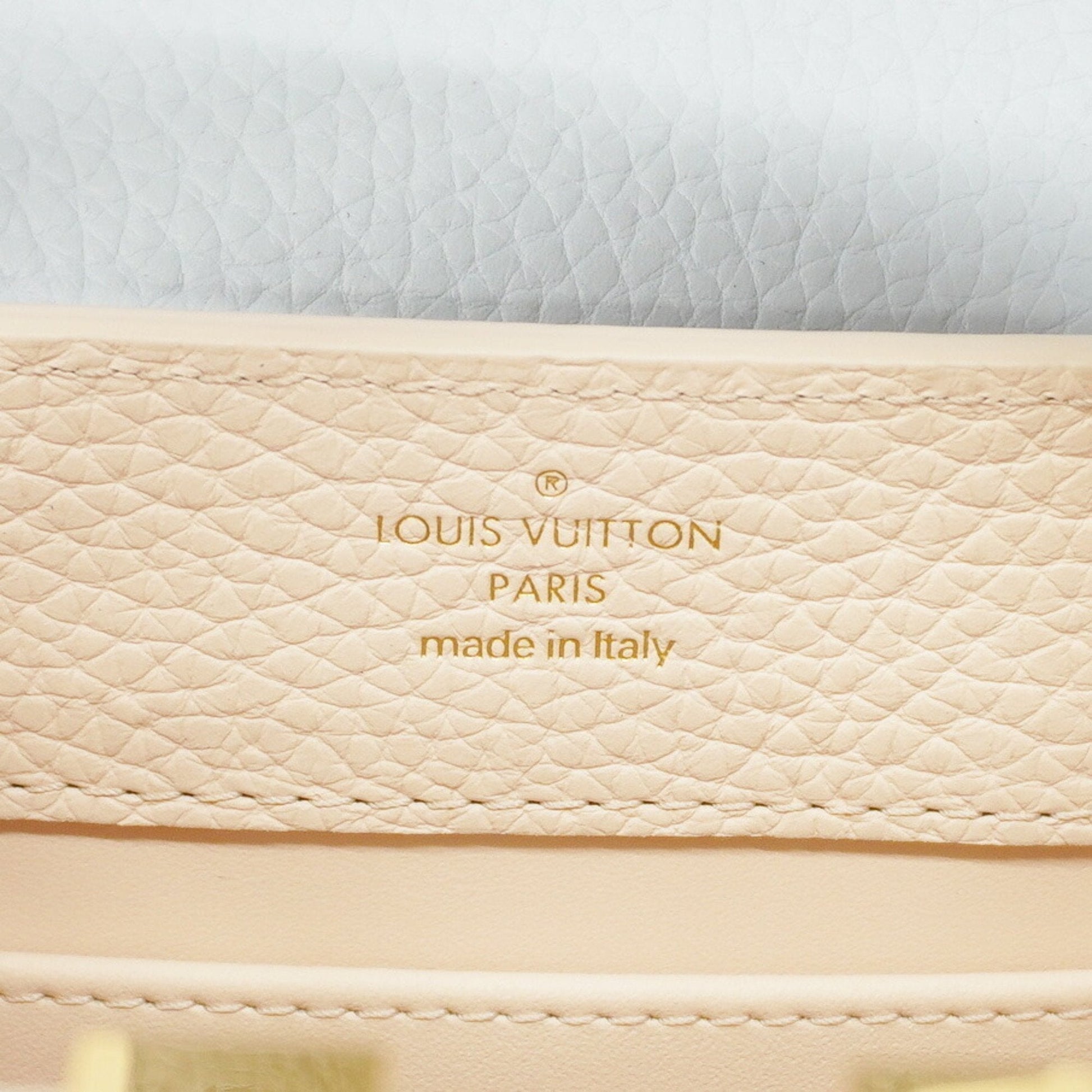 Louis Vuitton Handbag
