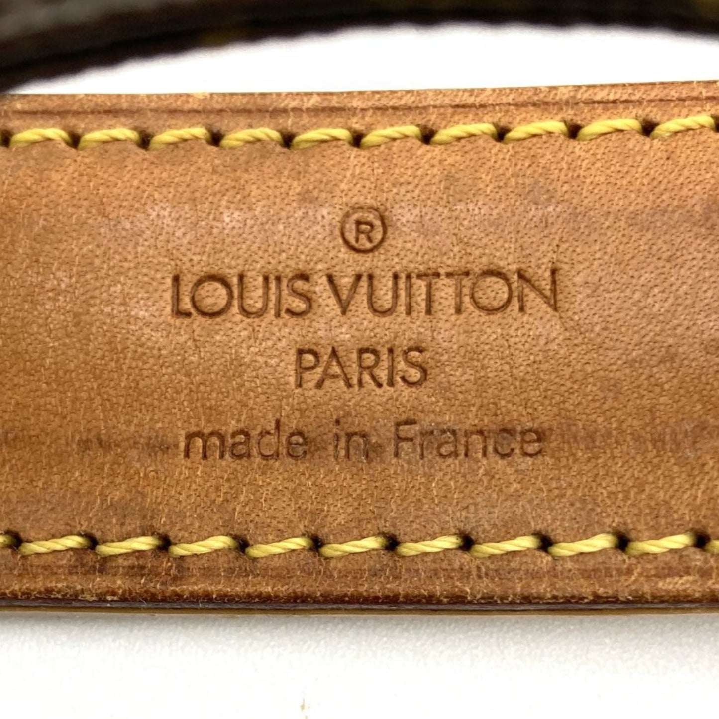 Louis Vuitton Monogram Canvas Pvc Pochette Shoulder Bag