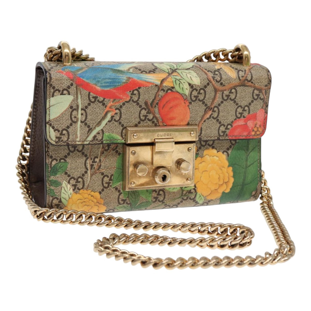 Gucci Chain Canvas Shoulder Bag