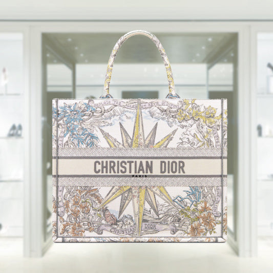 Dior Book Tote Tote