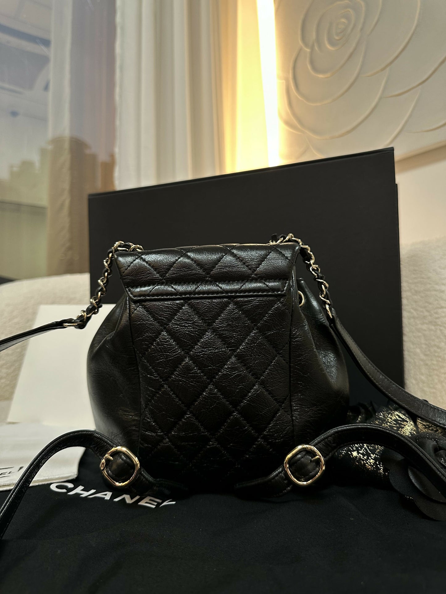 Chanel 22c Shiny Calfskin Backpack