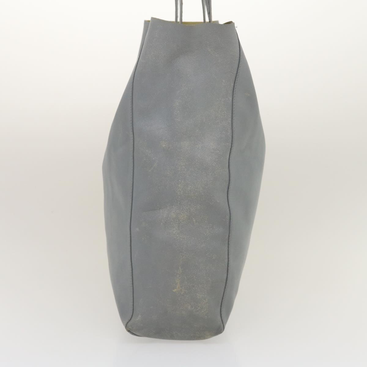 Luxury CELINE Tote Bag Leather Gray am2387g