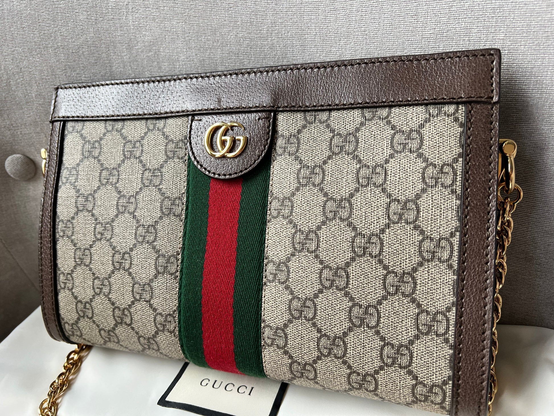 Gucci Ophidia Leather Chain Shoulder Bag Style 3