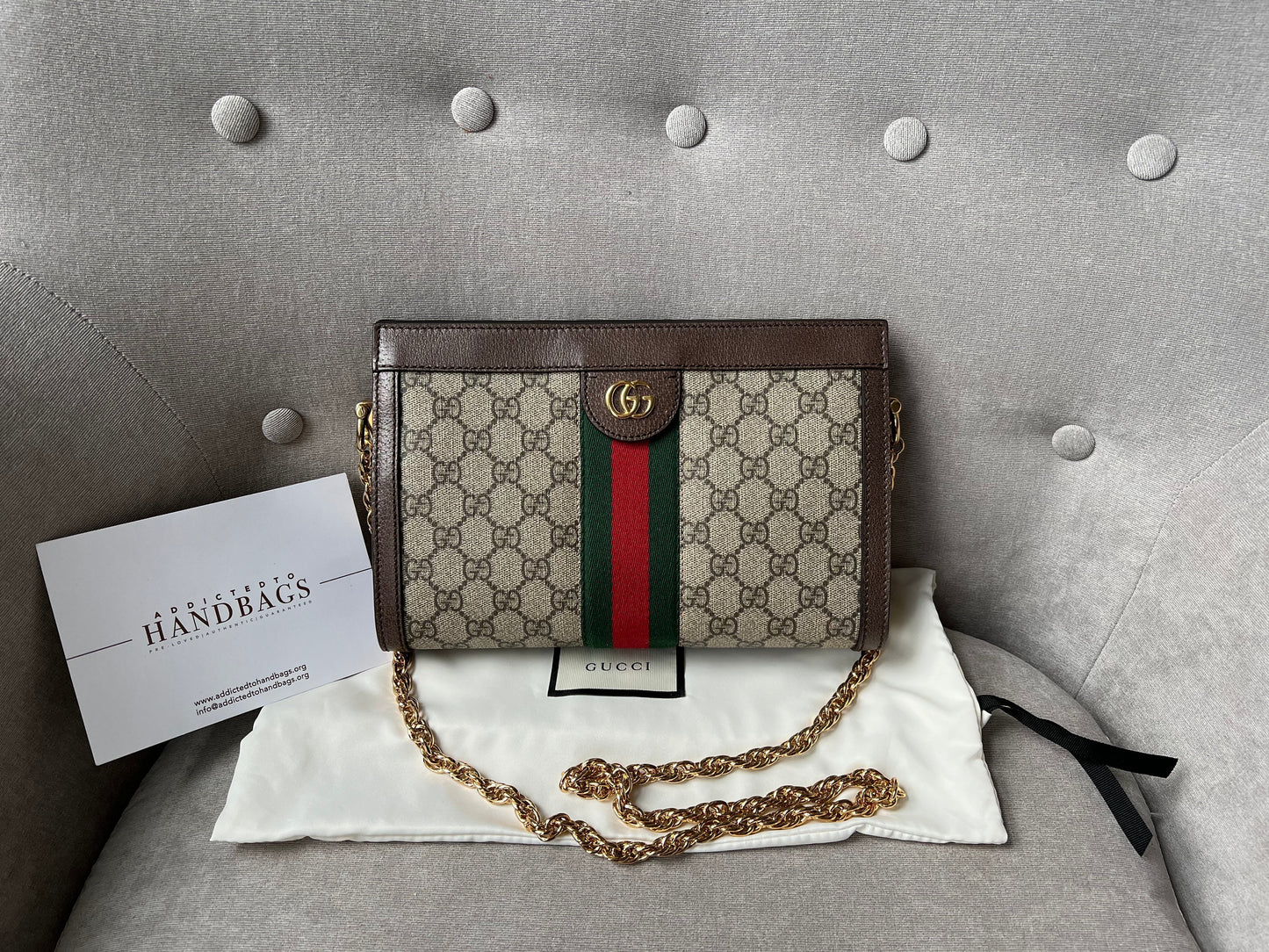 Gucci Ophidia Leather Chain Shoulder Bag Style 3