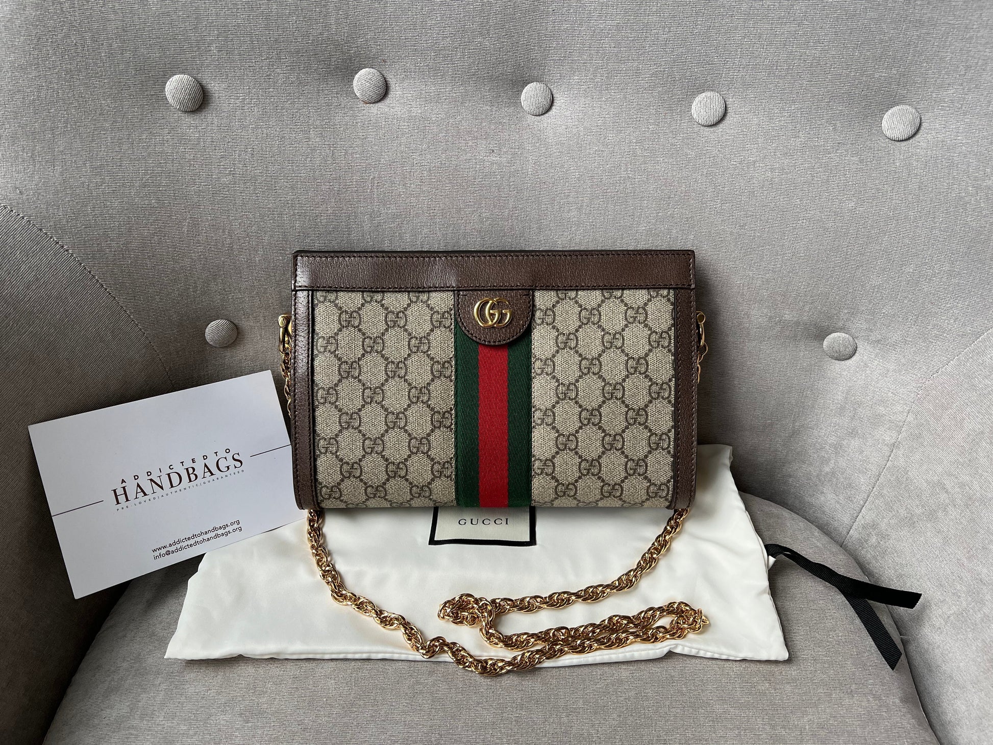 Gucci Ophidia Leather Chain Shoulder Bag Style 3