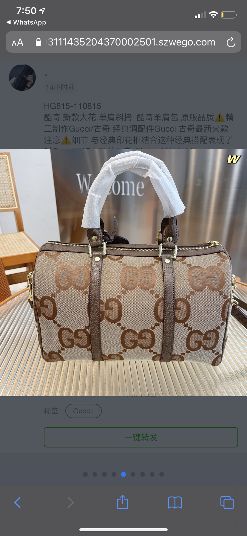 Gucci Woman Handbag Style 2