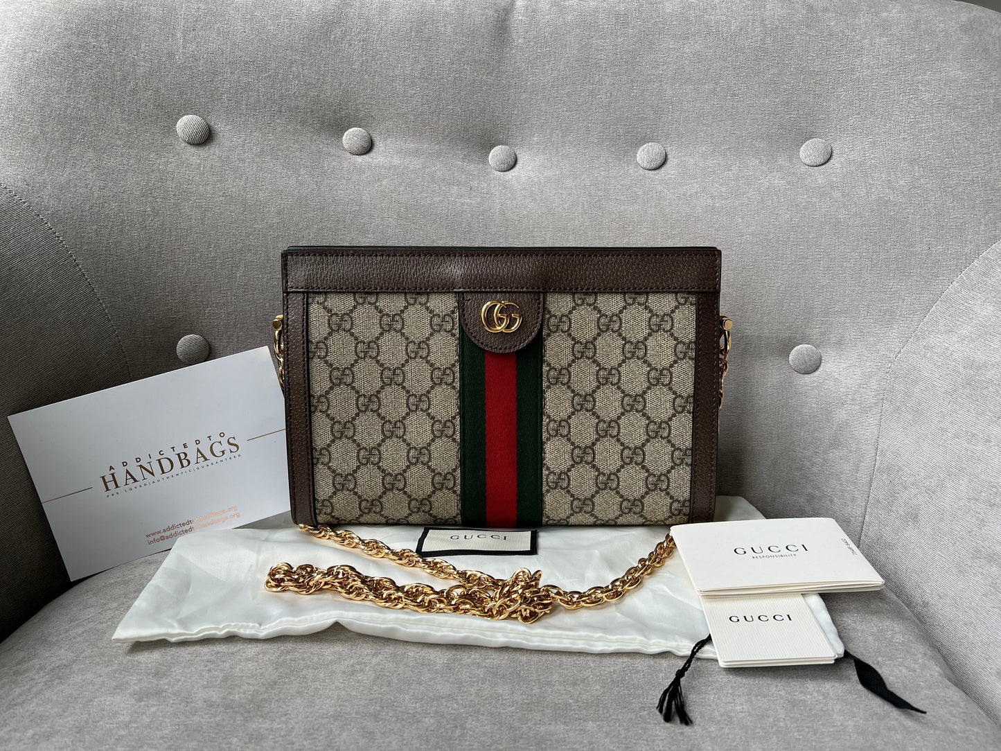 Gucci Ophidia Leather Chain Shoulder Bag Style 2
