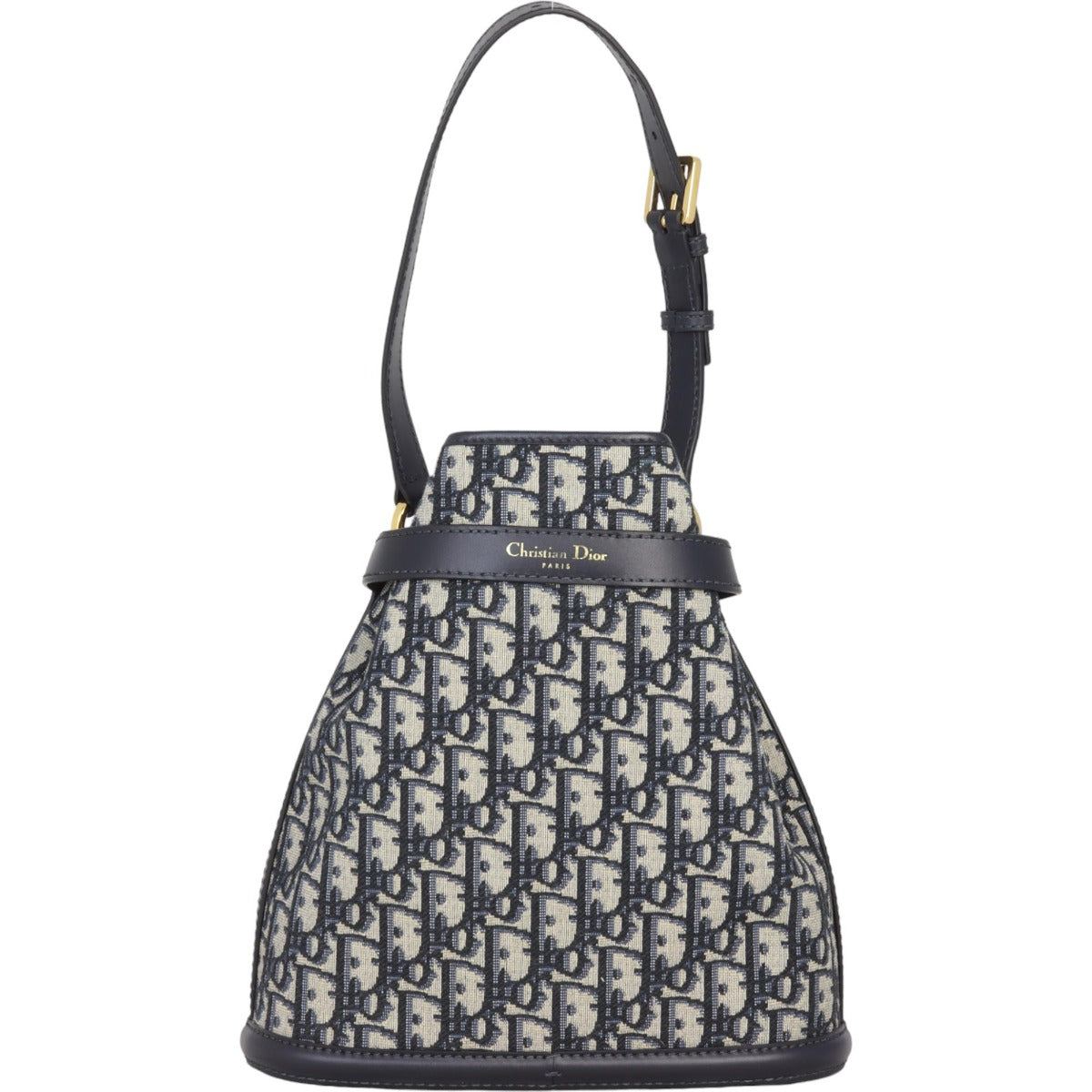 Dior Cest Medium Bag Oblique