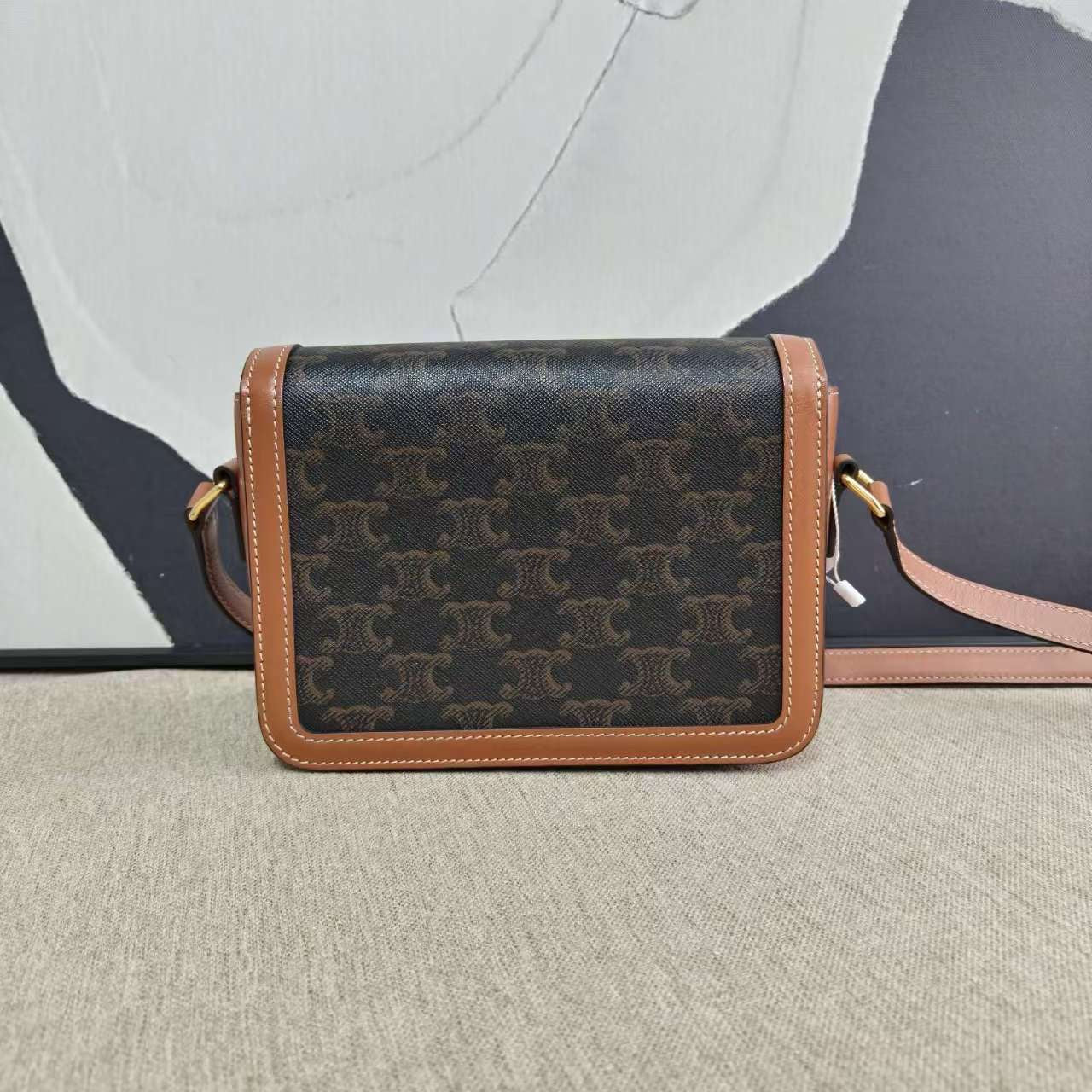 Luxury CELINE Triomphe Teen Bag in Brown Canvas Shoulder Bag