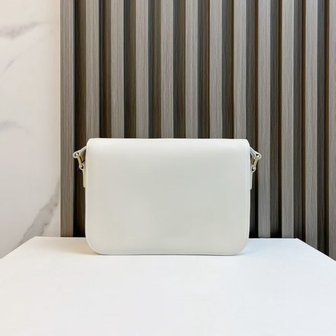 Luxury CELINE Triomphe Shoulder Bag in White Leather