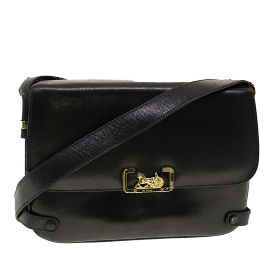 Luxury CELINE Horse Carriage Shoulder Bag Leather Black rd4883
