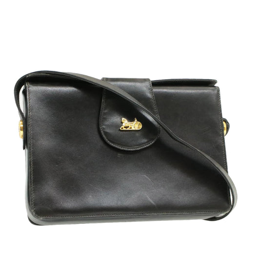 Luxury CELINE Horse Carriage Shoulder Bag Black Leather rd764
